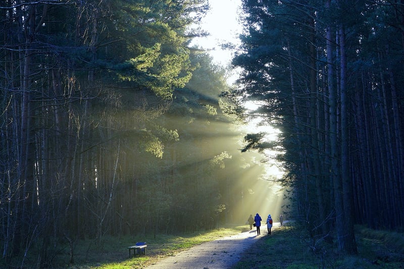 Nature Walks